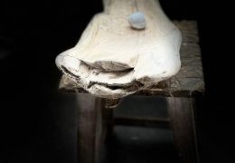 IMG_E1462.jpg