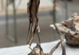 IMG_E1443.jpg
