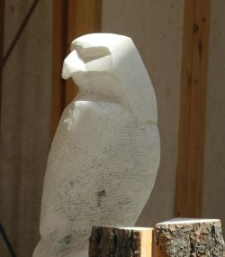 DSCN0307.jpg