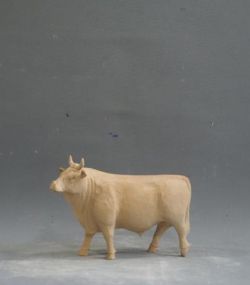 KW 31 2025 (244).jpg
