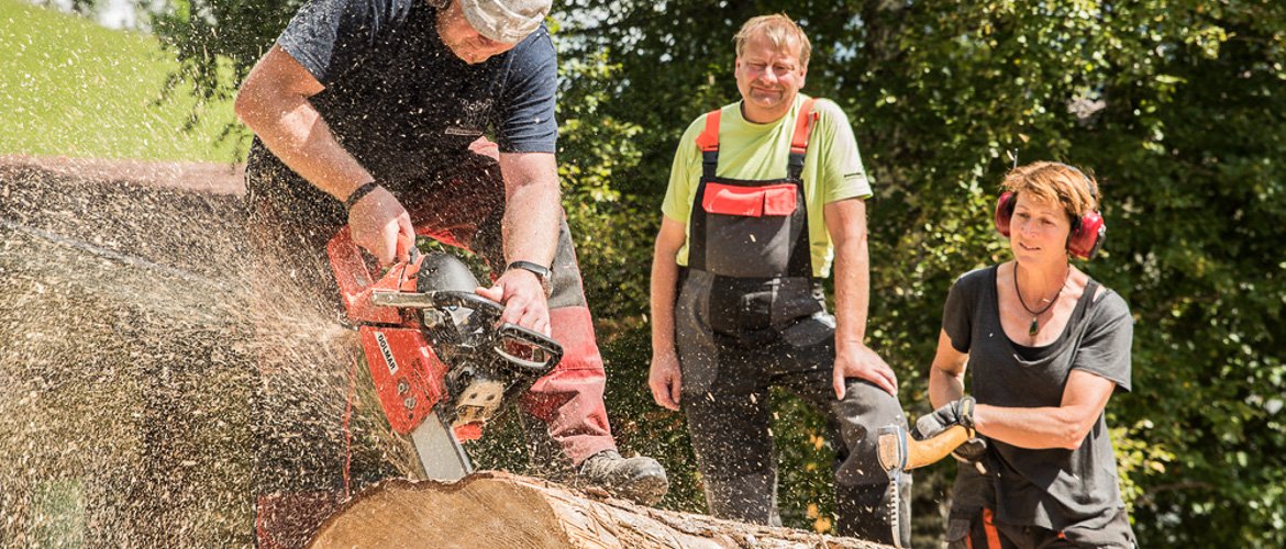 Kettensäge Motorsäge Stihl 026 in Baden-Württemberg - Singen